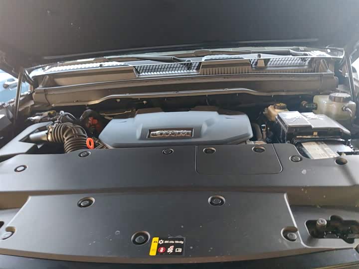 Tank 400 Hybrid 2024 2024款 Hi4-T 越野版