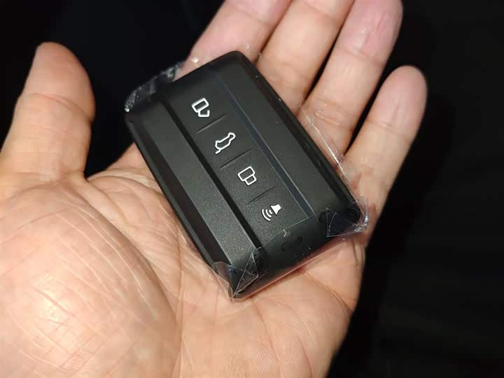 Tank 400 Hybrid 2024 2024款 Hi4-T 越野版