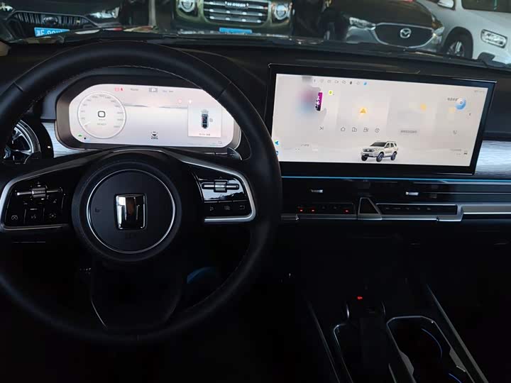 Tank 400 Hybrid 2024 2024款 Hi4-T 越野版