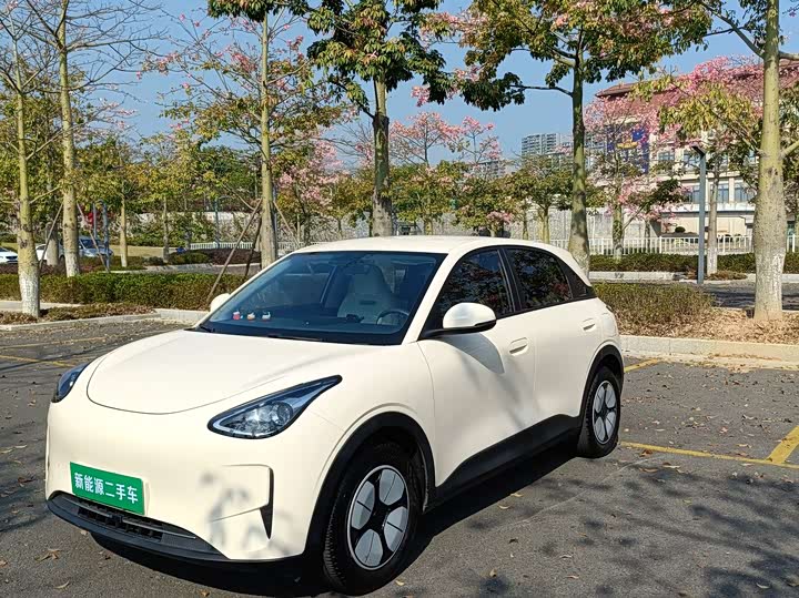 Geely Galaxy Geome 2025 2025款 310km 青春版