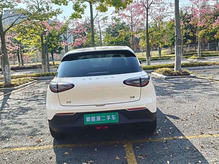 Geely Galaxy Geome 2025 2025款 310km 青春版
