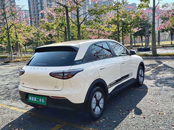 Geely Galaxy Geome 2025 2025款 310km 青春版