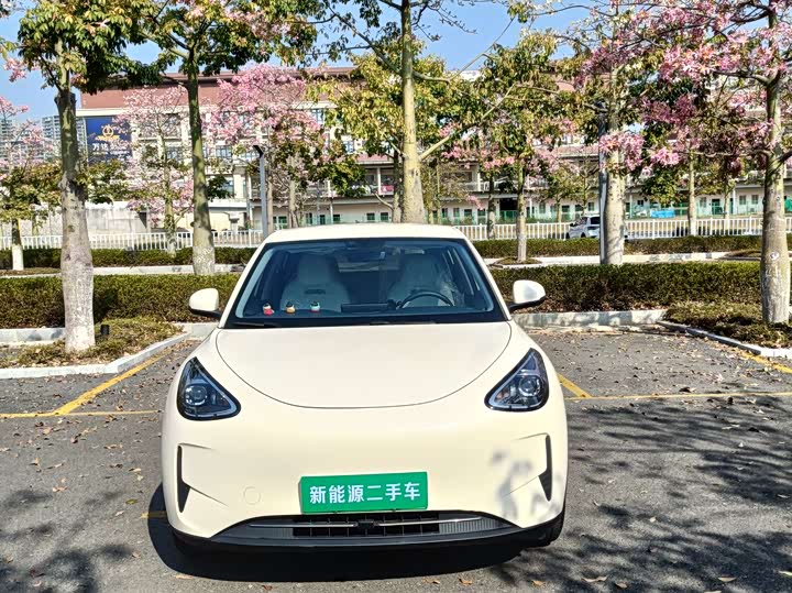 Geely Galaxy Geome 2025 2025款 310km 青春版