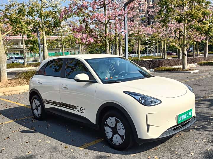 Geely Galaxy Geome 2025 2025款 310km 青春版