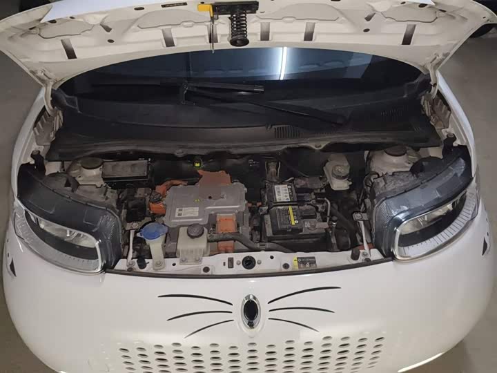 Ora White Cat 2020 2020款 305km 豪华型