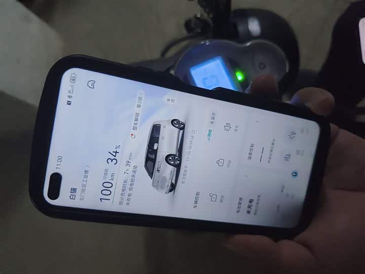 Ora White Cat 2020 2020款 305km 豪华型