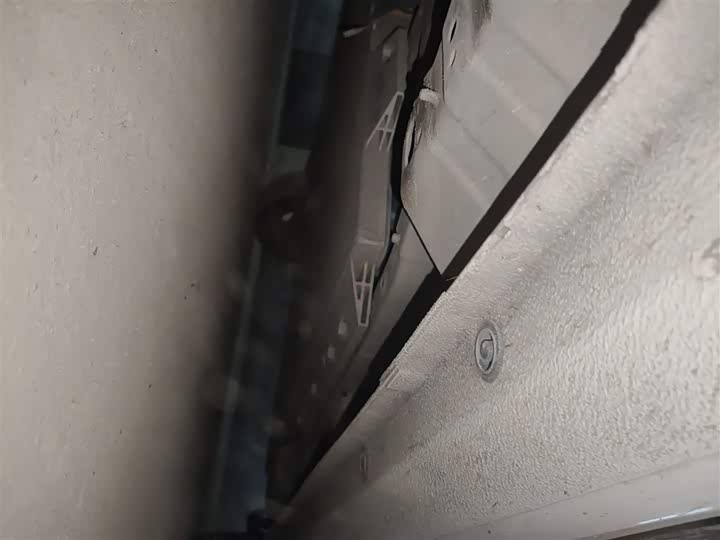 Ora White Cat 2020 2020款 305km 豪华型