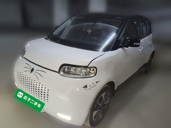 Ora White Cat 2020 2020款 305km 豪华型