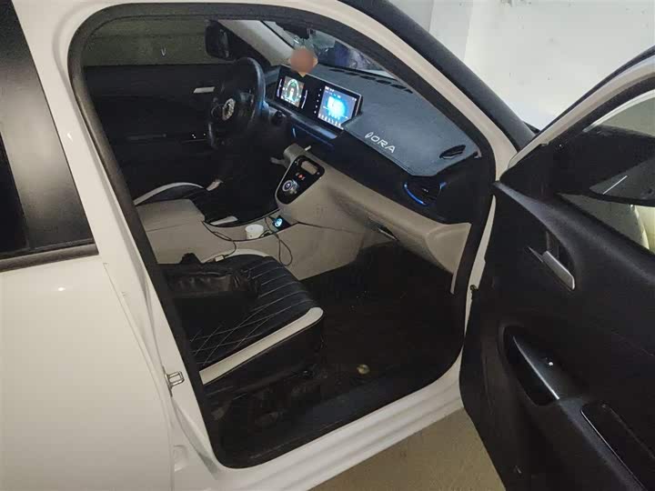 Ora White Cat 2020 2020款 305km 豪华型