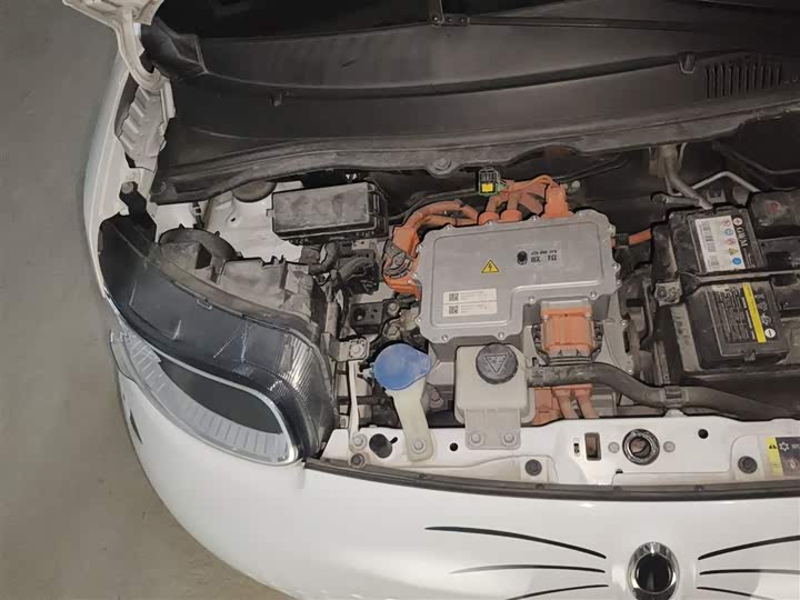 Ora White Cat 2020 2020款 305km 豪华型