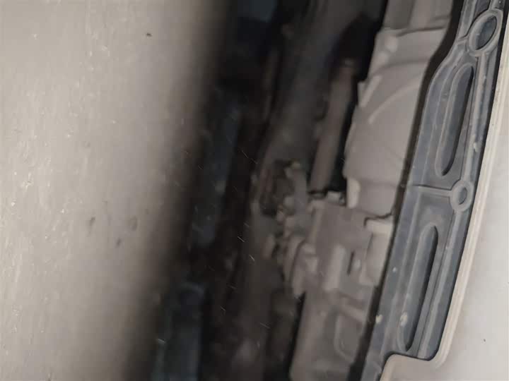 Ora White Cat 2020 2020款 305km 豪华型