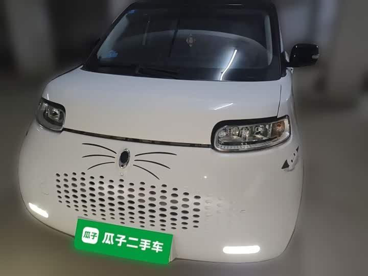 Ora White Cat 2020 2020款 305km 豪华型
