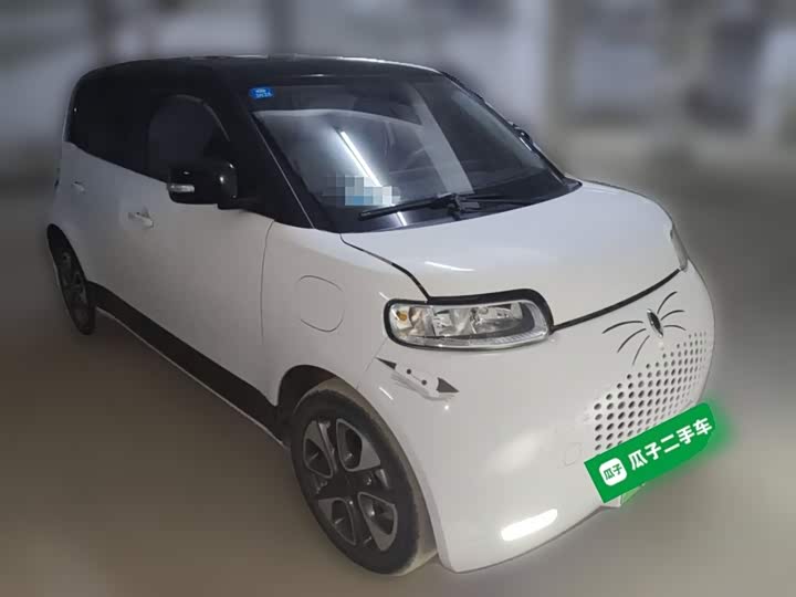 Ora White Cat 2020 2020款 305km 豪华型