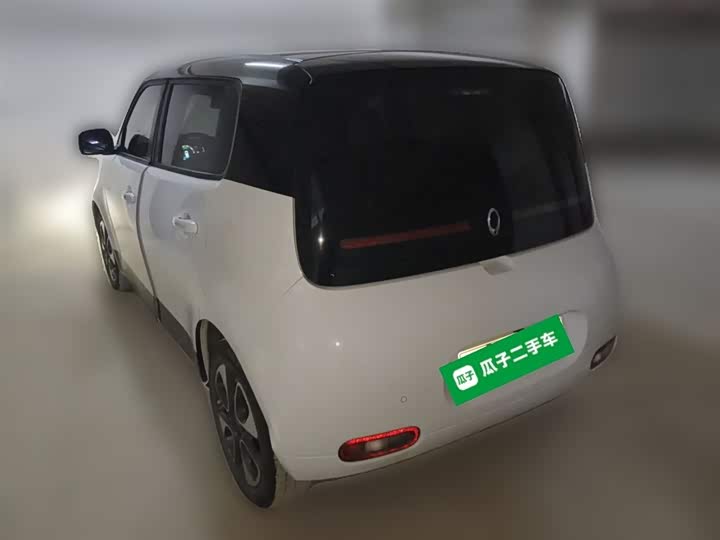 Ora White Cat 2020 2020款 305km 豪华型