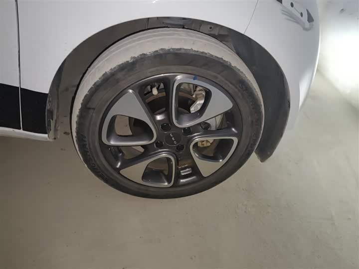 Ora White Cat 2020 2020款 305km 豪华型