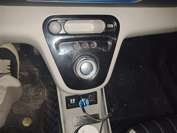 Ora White Cat 2020 2020款 305km 豪华型