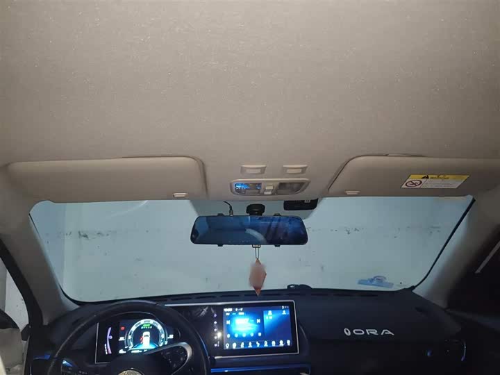 Ora White Cat 2020 2020款 305km 豪华型