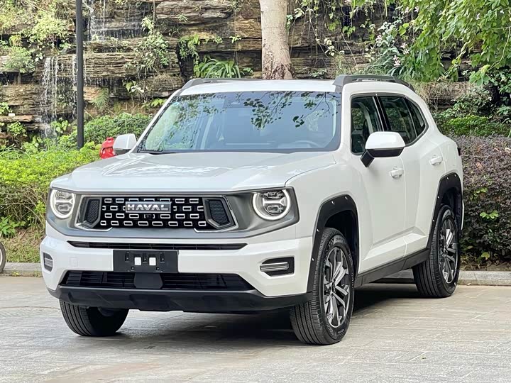 Haval H-Dog 2023 2023款 2.0T 两驱潮野版Plus