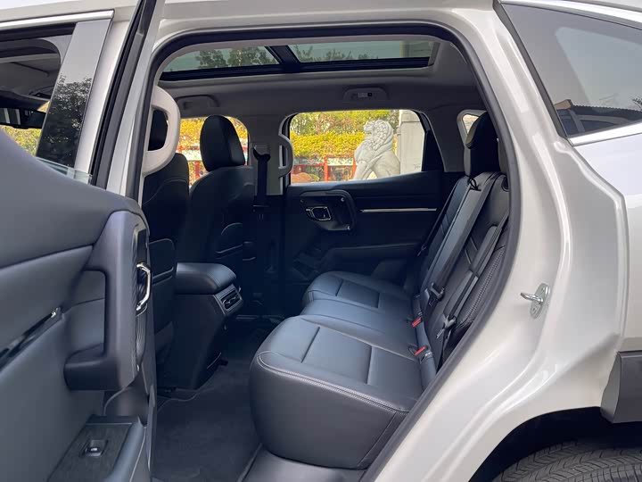 Haval H-Dog 2023 2023款 2.0T 两驱潮野版Plus