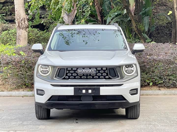 Haval H-Dog 2023 2023款 2.0T 两驱潮野版Plus