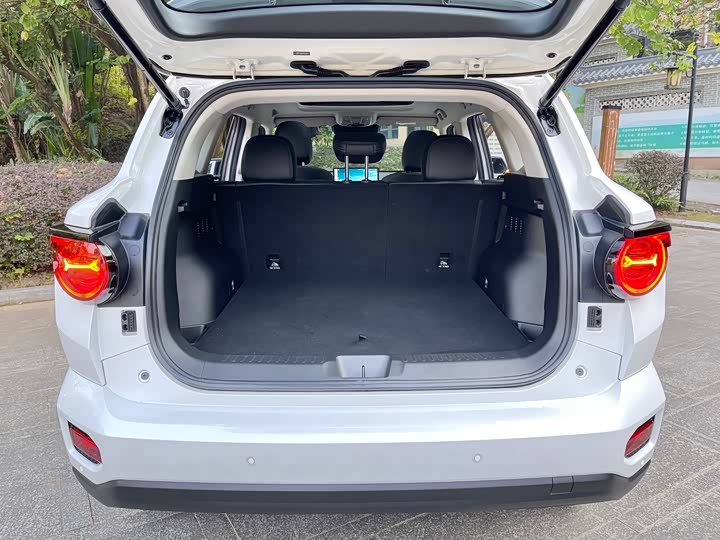 Haval H-Dog 2023 2023款 2.0T 两驱潮野版Plus