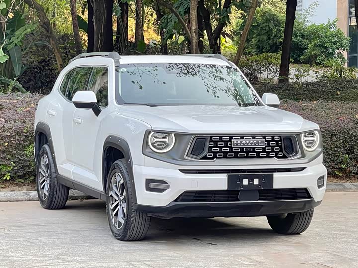 Haval H-Dog 2023 2023款 2.0T 两驱潮野版Plus