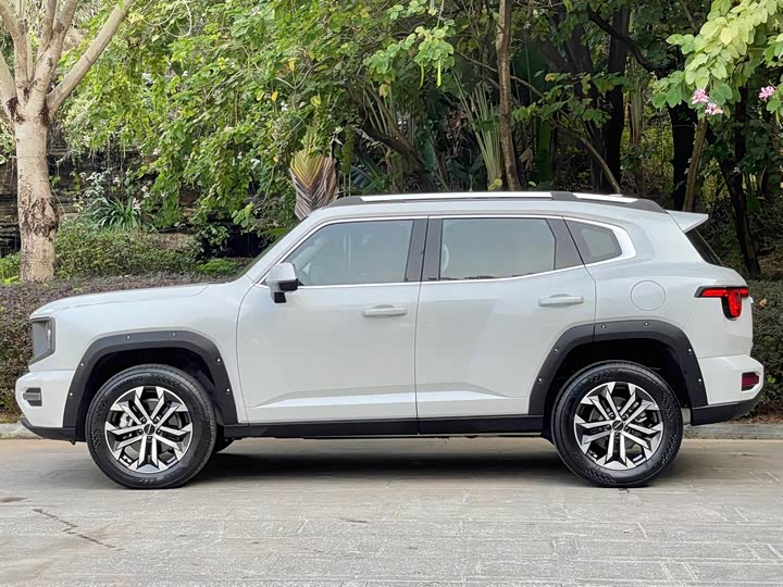 Haval H-Dog 2023 2023款 2.0T 两驱潮野版Plus