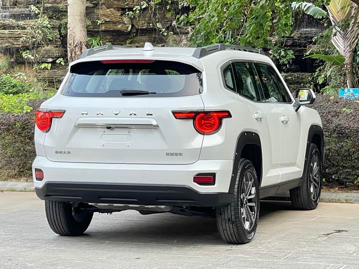 Haval H-Dog 2023 2023款 2.0T 两驱潮野版Plus