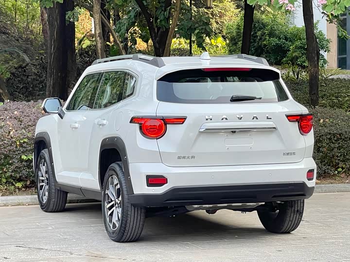 Haval H-Dog 2023 2023款 2.0T 两驱潮野版Plus