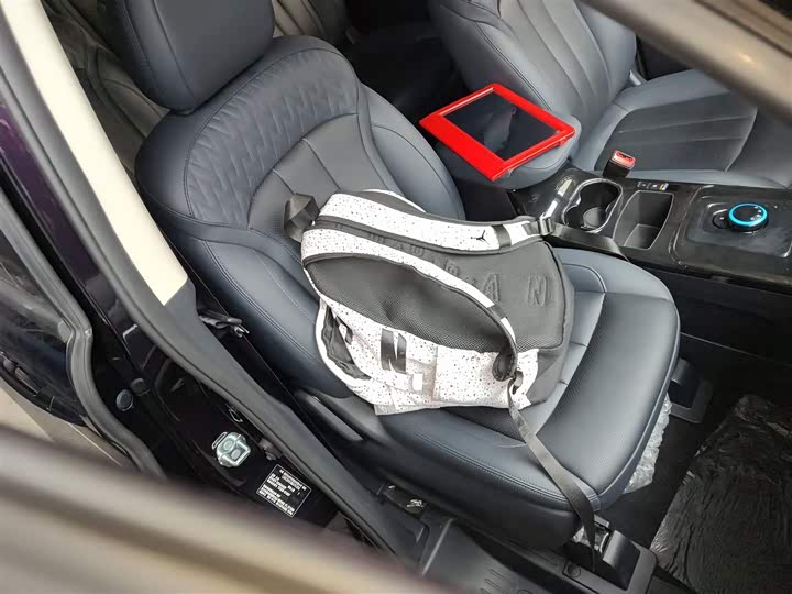 Changan Oshan Kesang EV 2020 2020款 领尚型