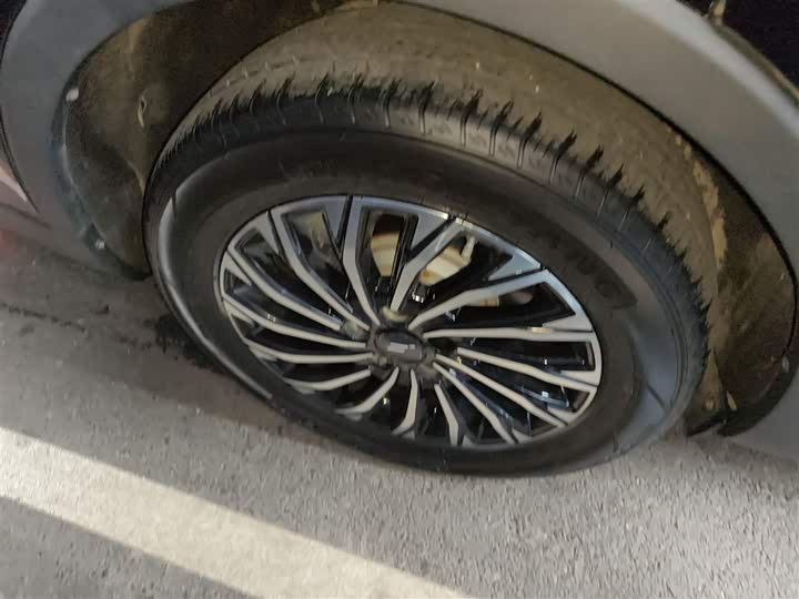 Changan Oshan Kesang EV 2020 2020款 领尚型