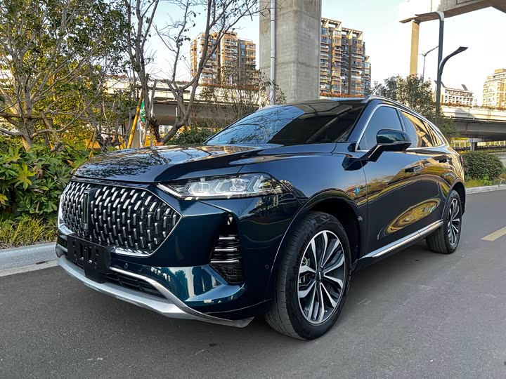 Wey Mocha 2021 2021款 2.0T 两驱特醇版