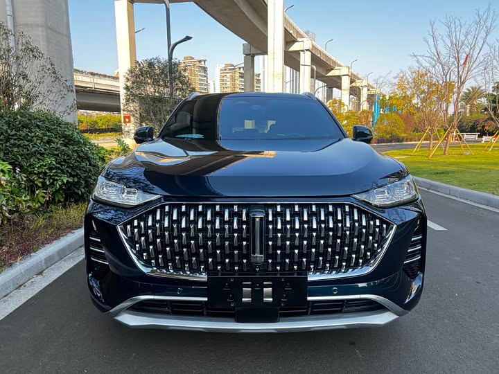 Wey Mocha 2021 2021款 2.0T 两驱特醇版