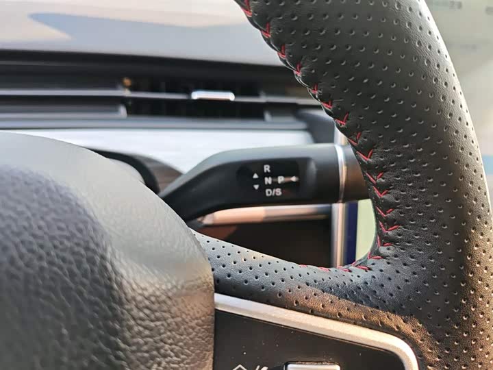 Hozon V 2022 2022款 潮 300 Lite 三元锂