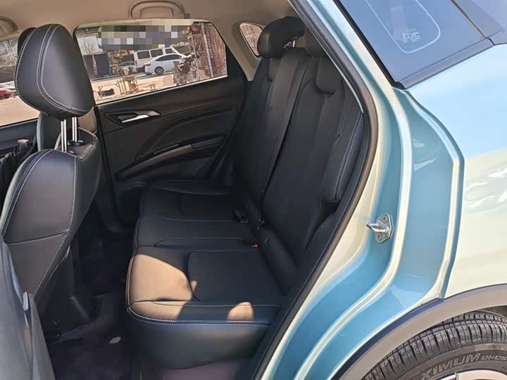 Hozon V 2022 2022款 潮 300 Lite 三元锂