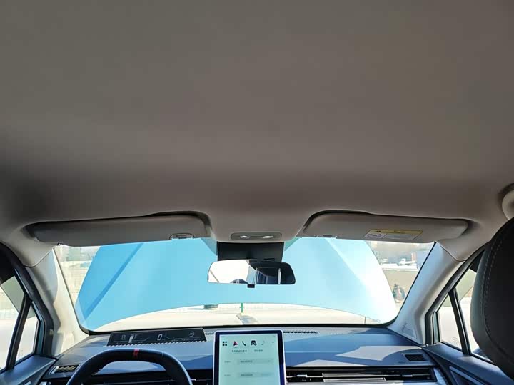 Hozon V 2022 2022款 潮 300 Lite 三元锂