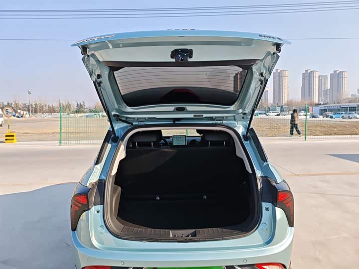 Hozon V 2022 2022款 潮 300 Lite 三元锂