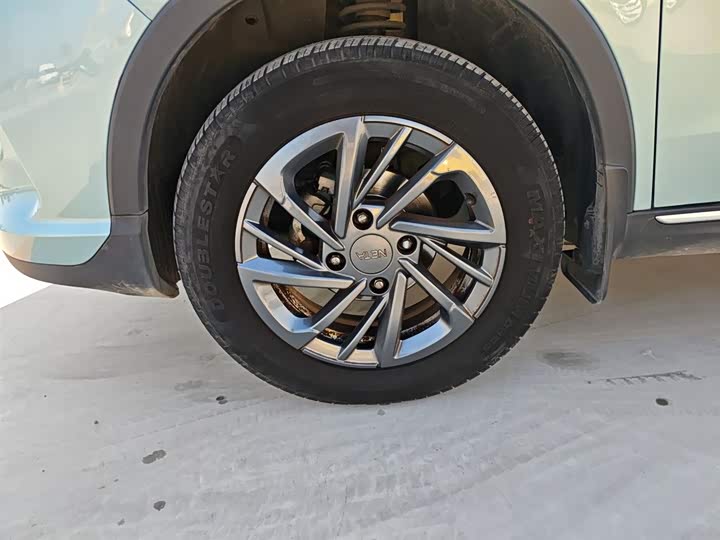 Hozon V 2022 2022款 潮 300 Lite 三元锂