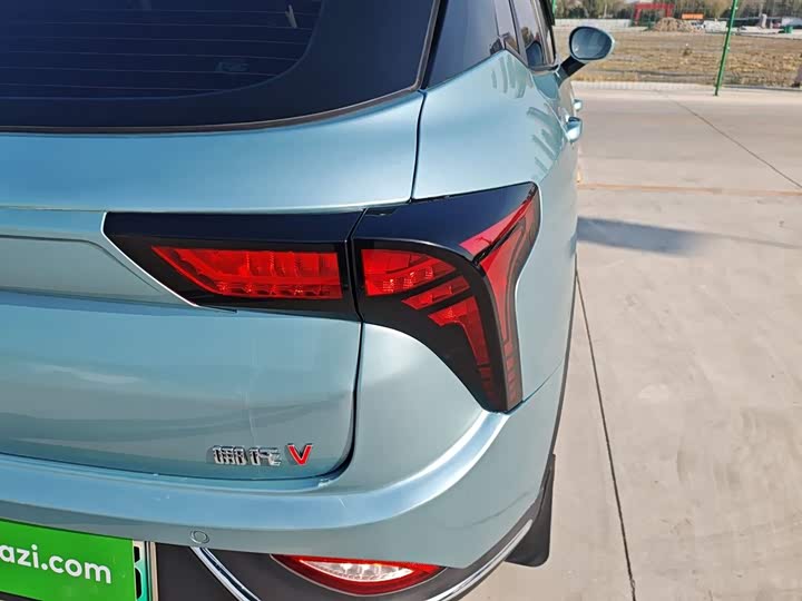 Hozon V 2022 2022款 潮 300 Lite 三元锂