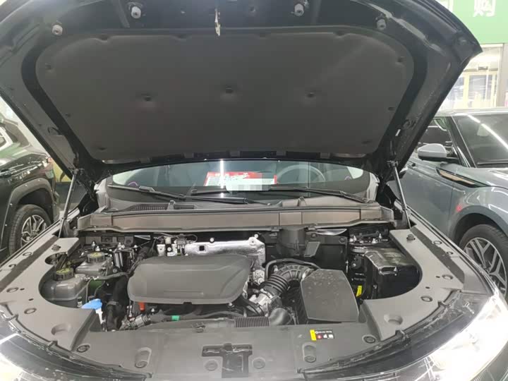 Haval Ruge Max 2025 2025款 Hi4 110 Pro