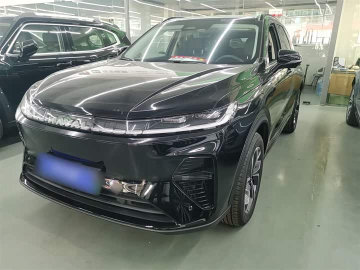 Haval Ruge Max 2025 2025款 Hi4 110 Pro