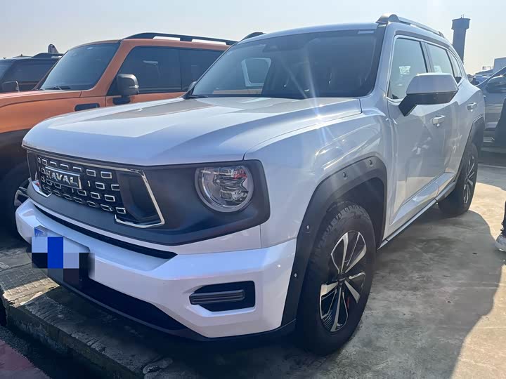 Haval H-Dog 2023 2023款 2.0T 四驱潮野Plus