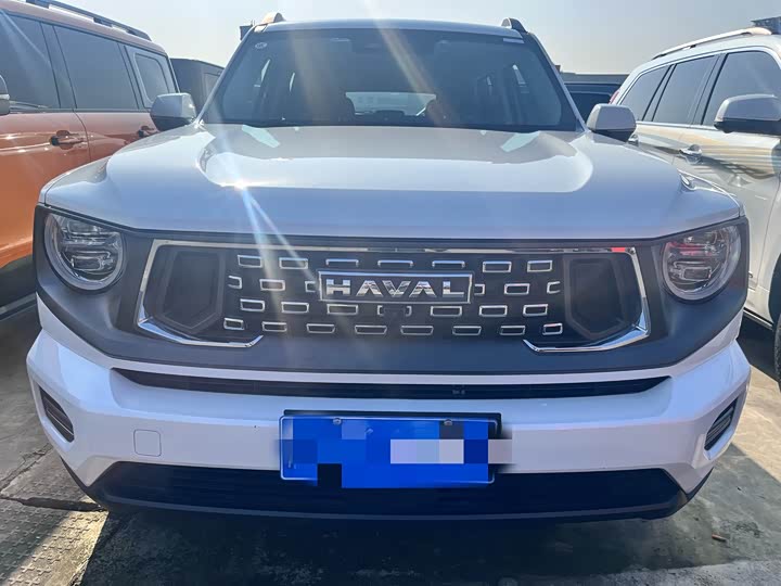 Haval H-Dog 2023 2023款 2.0T 四驱潮野Plus
