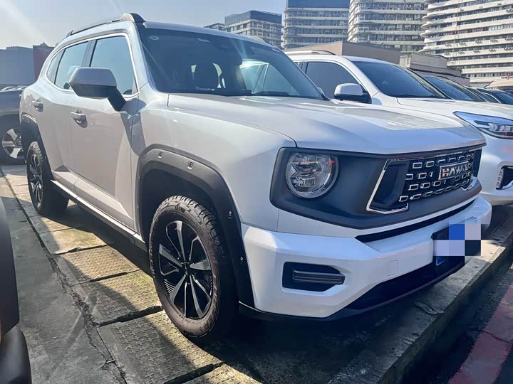 Haval H-Dog 2023 2023款 2.0T 四驱潮野Plus