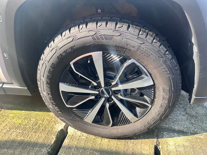 Haval H-Dog 2023 2023款 2.0T 四驱潮野Plus