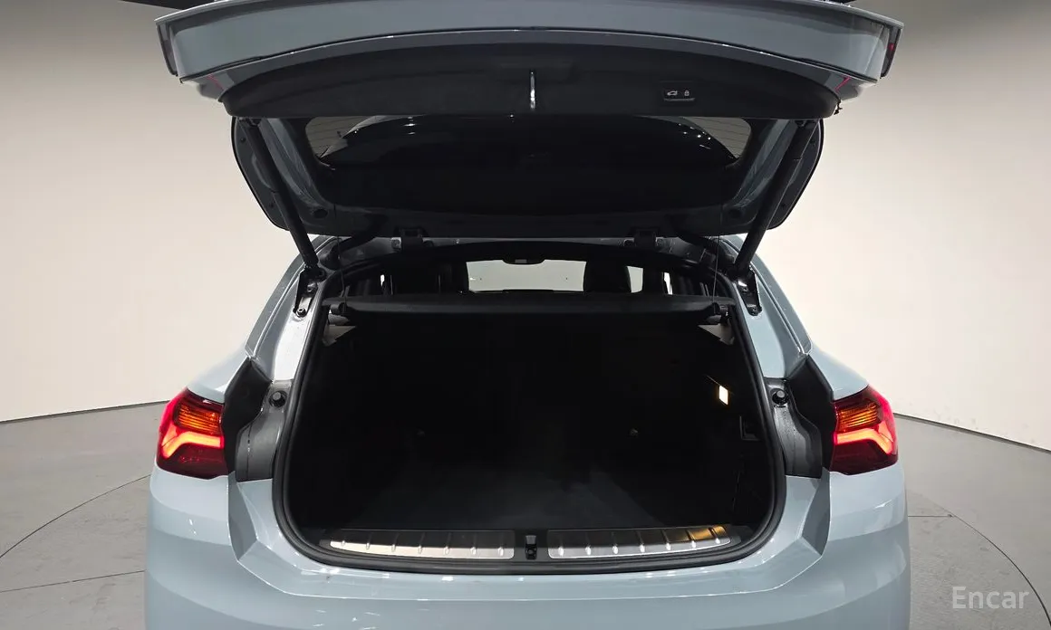 BMW X2 (F39) 2018 xDrive20i M Sport