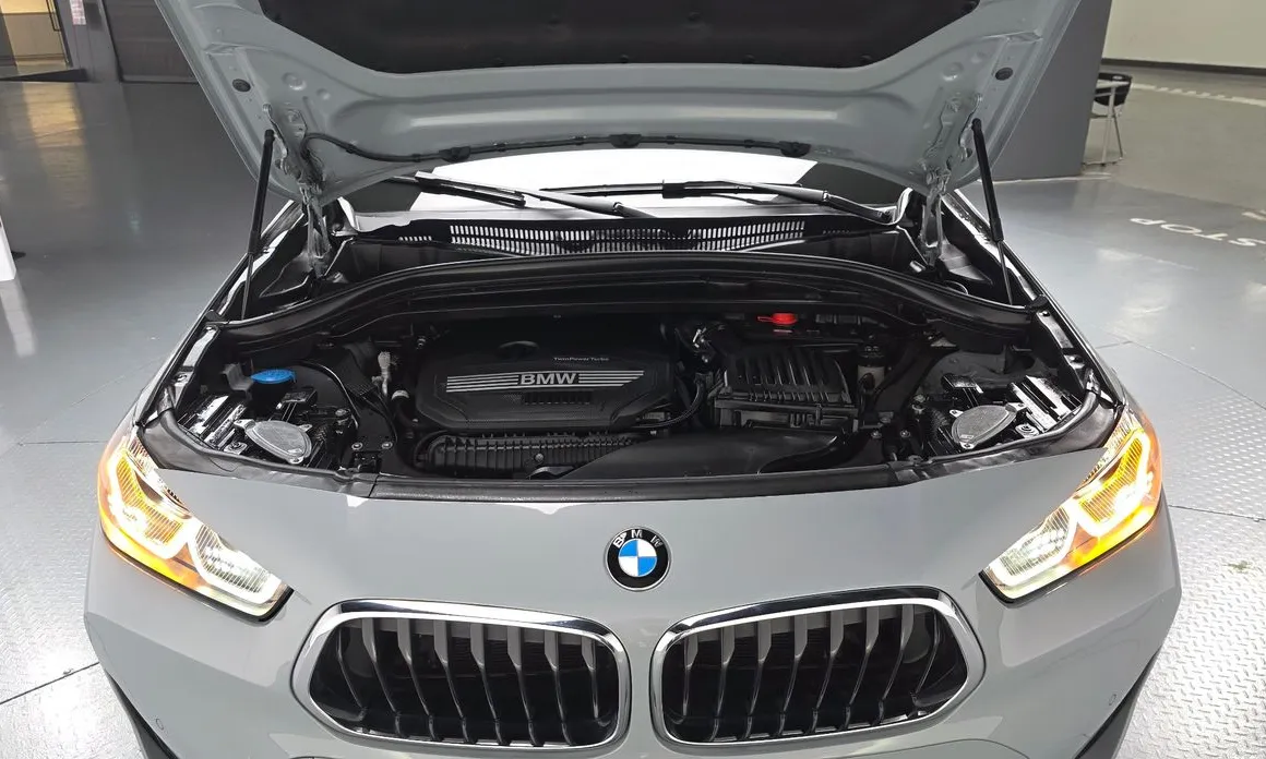 BMW X2 (F39) 2018 xDrive20i M Sport