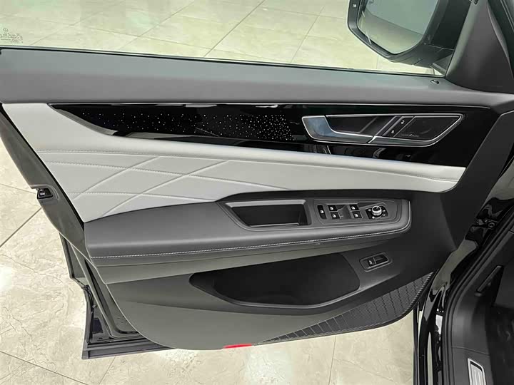 Volkswagen Teramont Pro 2024 2024款 380TSI 四驱龙祥版