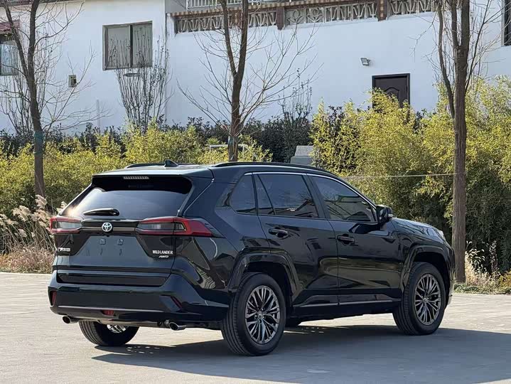 Toyota Wildlander 2024 2024款 2.0L CVT四驱豪华PLUS版