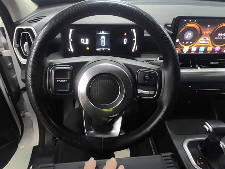 Great Wall King Kong Poer 2023 2023款 2.0T自动柴油四驱精英型长箱GW4D20M